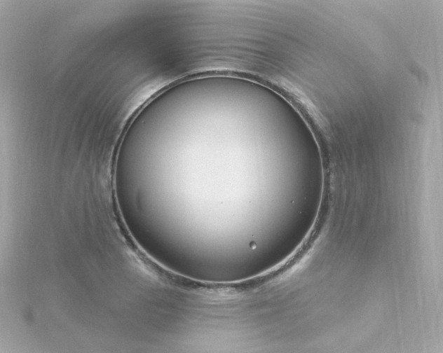 X0000115691129200911251807