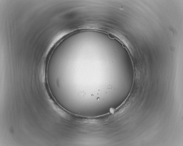 X0000115691131200911251807