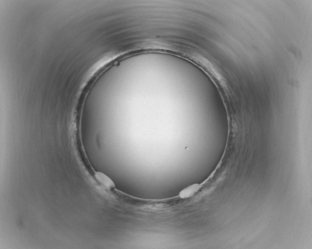 X0000115691133200911251807