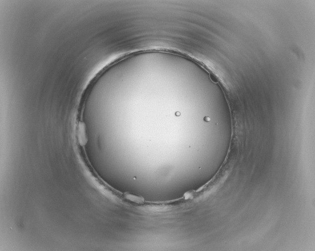 X0000115691134200911251807