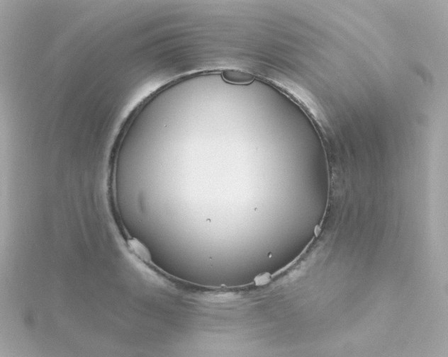 X0000115691135200911251807