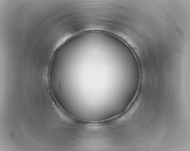 X0000115691137200911251807