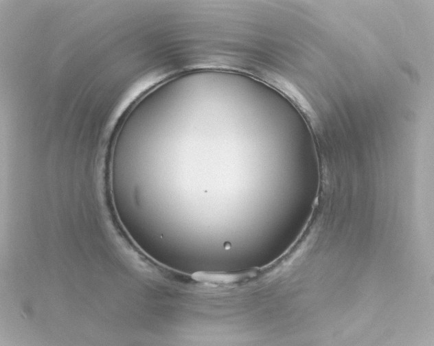 X0000115691138200911251807