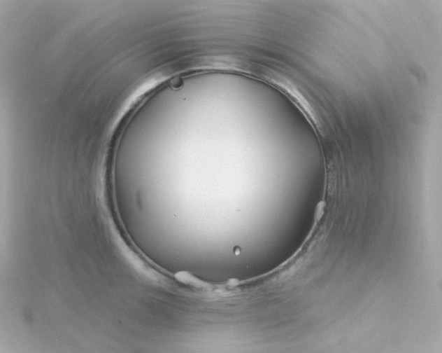 X0000115691139200911251807