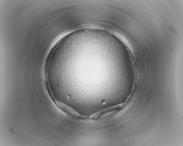 X0000115691141200911251807