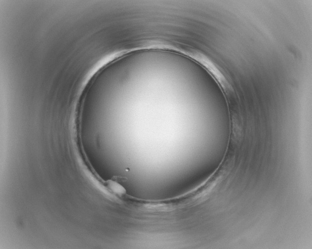 X0000115691142200911251807