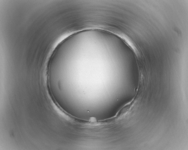 X0000115691143200911251807