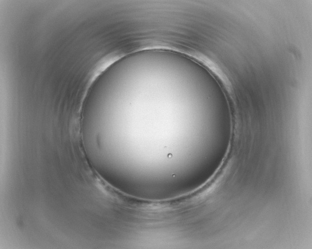 X0000115691145200911251808