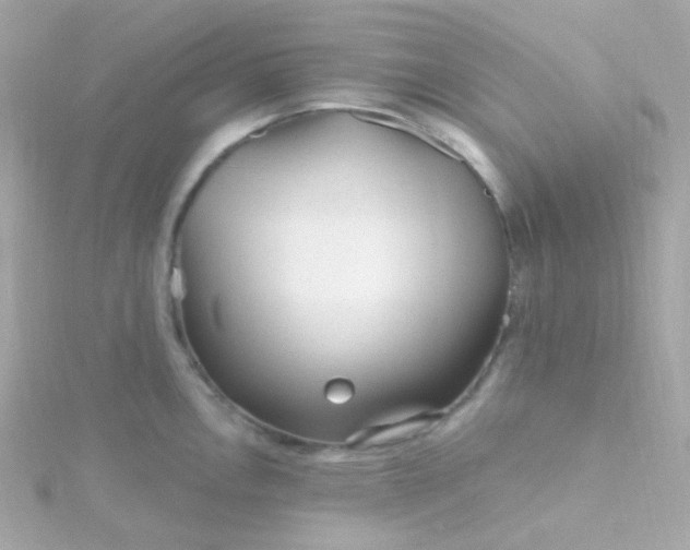 X0000115691146200911251808