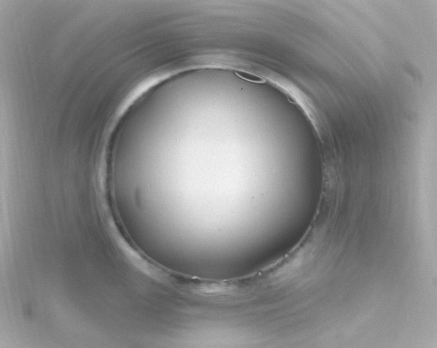 X0000115691147200911251808