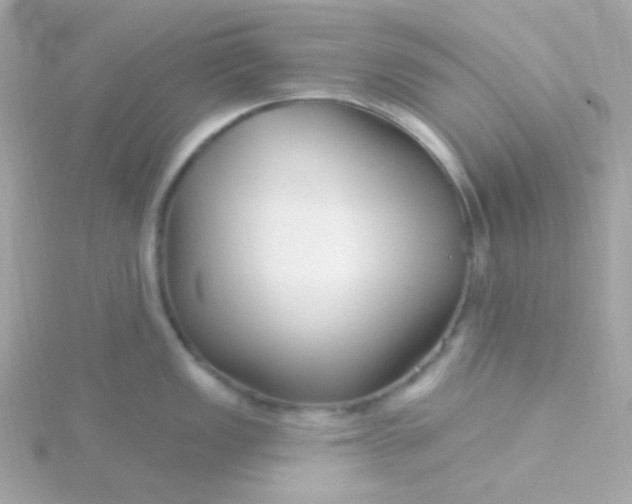 X0000115691149200911251808