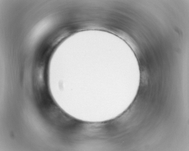 X0000115691150200911251808