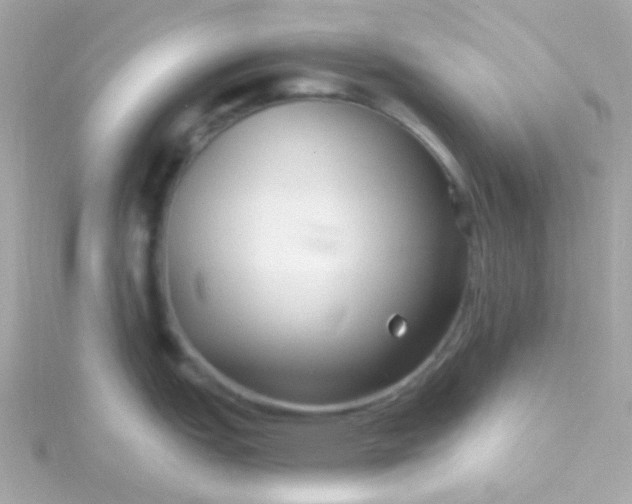 X0000115691151200911251808