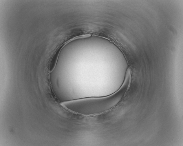 X0000115691153200911251807