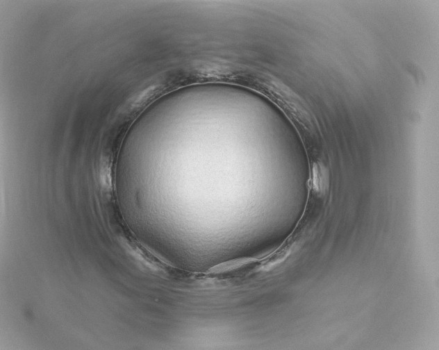 X0000115691155200911251807