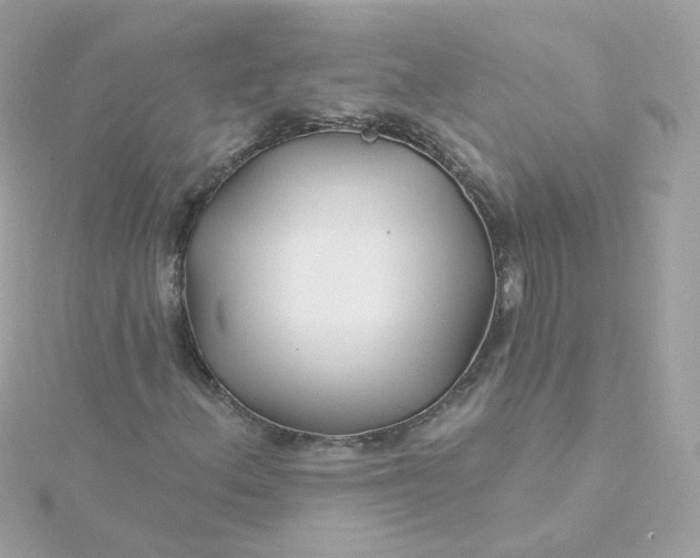 X0000115691156200911251807