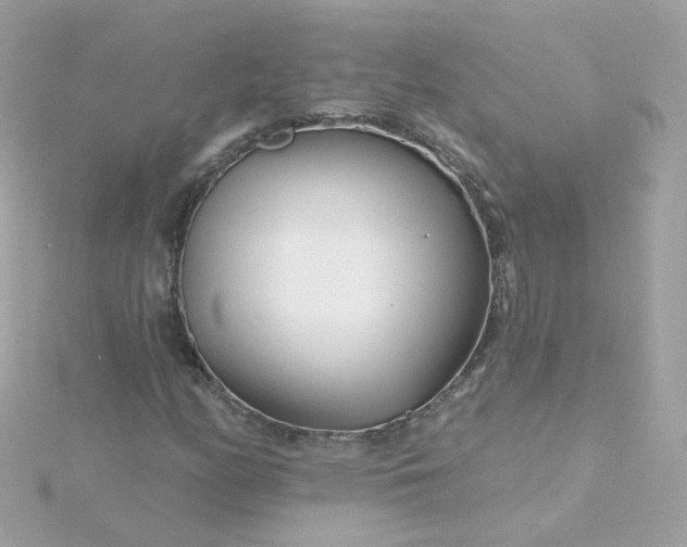 X0000115691158200911251807