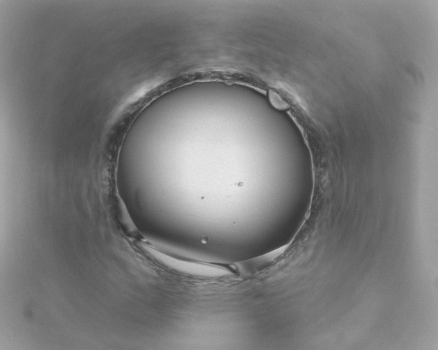 X0000115691159200911251807