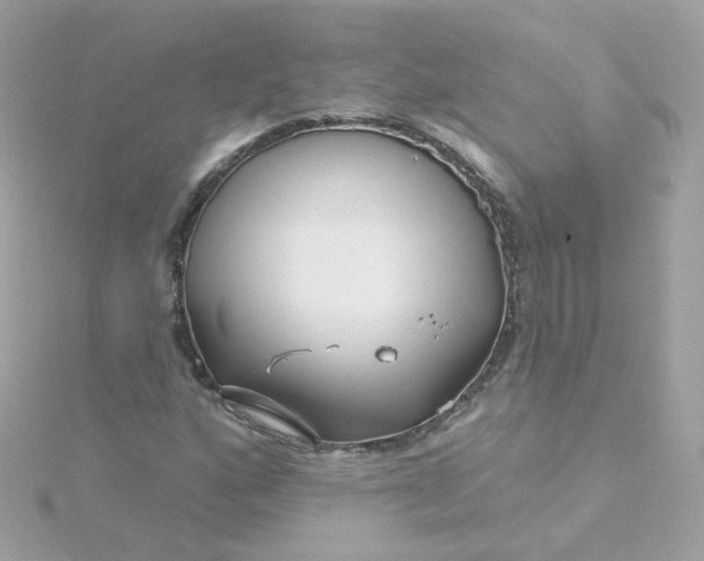 X0000115691160200911251807