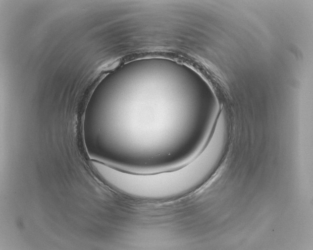 X0000115691161200911251807