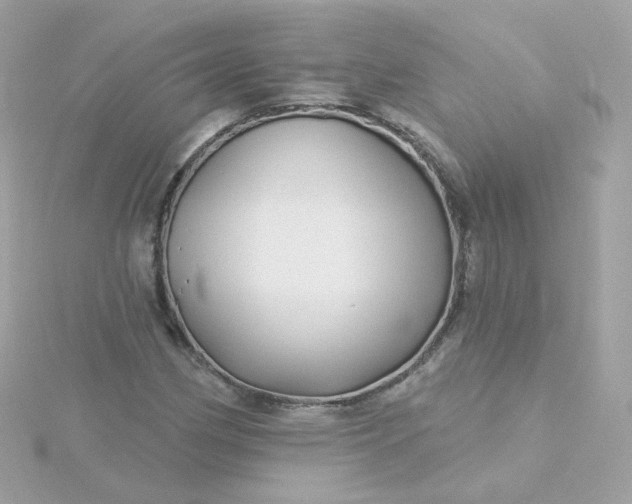 X0000115691162200911251807