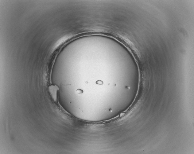 X0000115691163200911251807