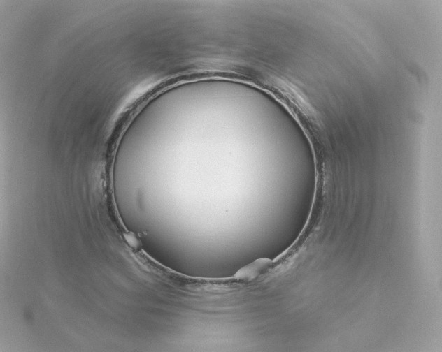 X0000115691164200911251807