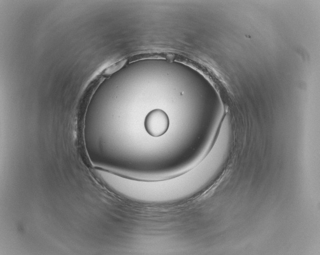 X0000115691165200911251807