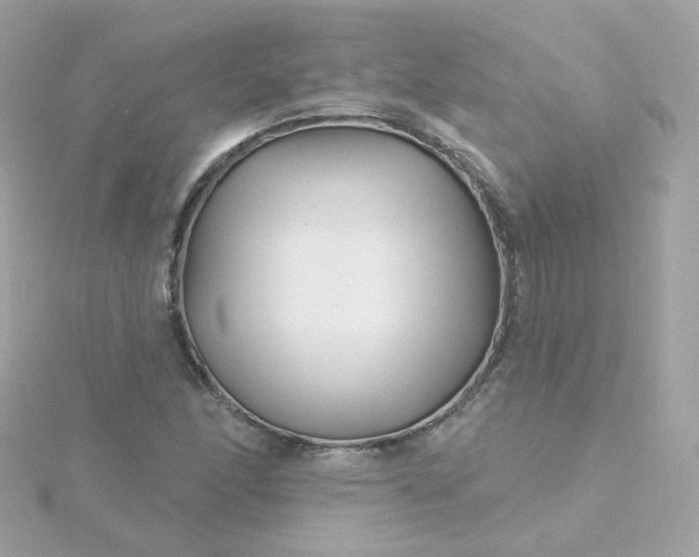 X0000115691166200911251807