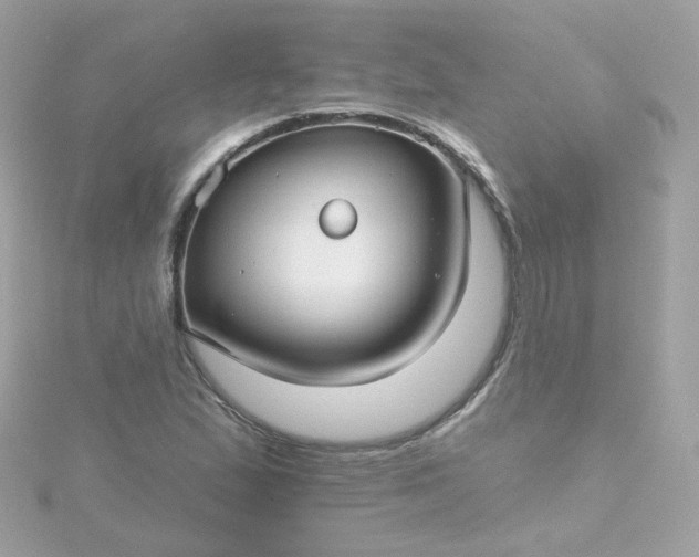 X0000115691167200911251807