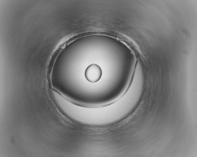 X0000115691168200911251807