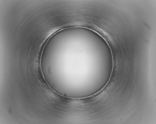 X0000115691170200911251807