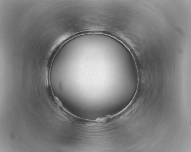 X0000115691171200911251807