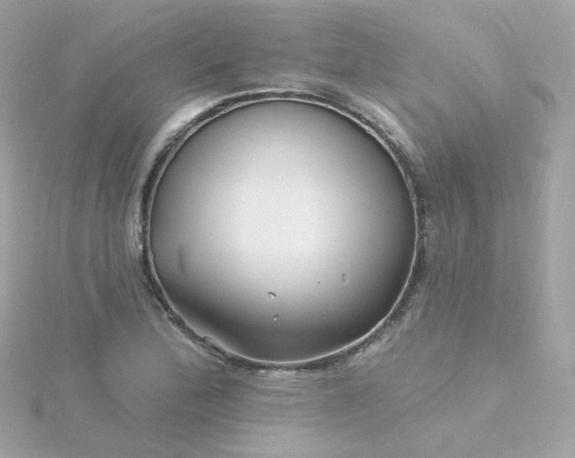 X0000115691172200911251807