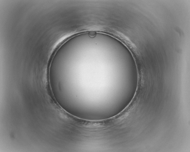 X0000115691174200911251807