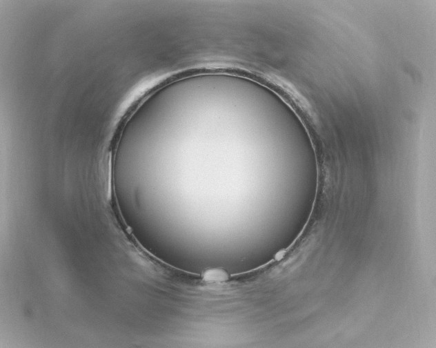 X0000115691175200911251807