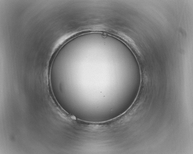 X0000115691176200911251807