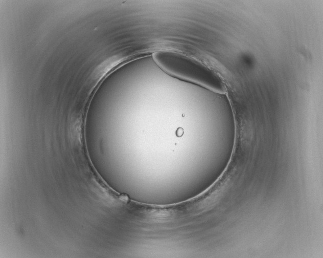 X0000115691177200911251807