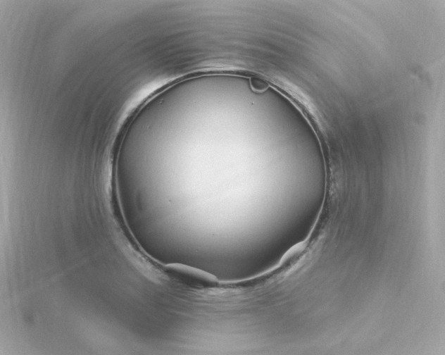 X0000115691179200911251807