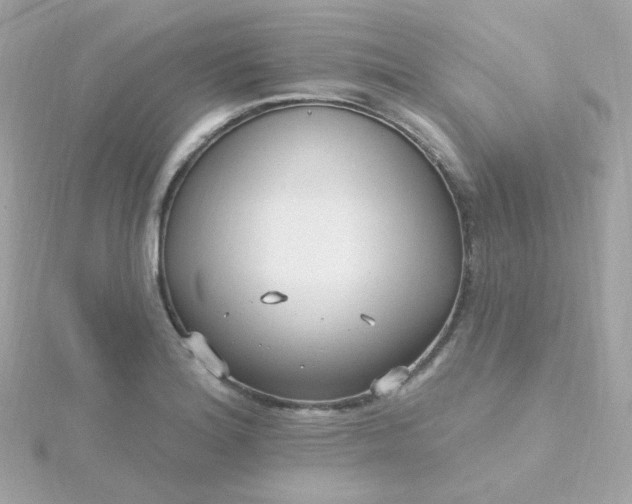 X0000115691180200911251807