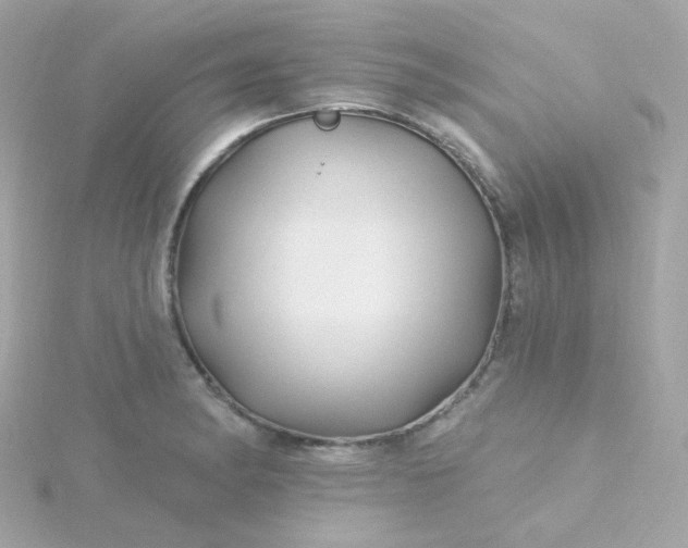 X0000115691182200911251807