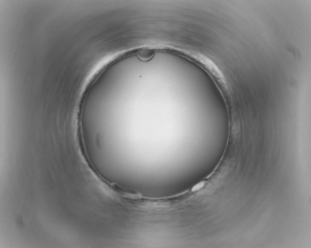 X0000115691183200911251807