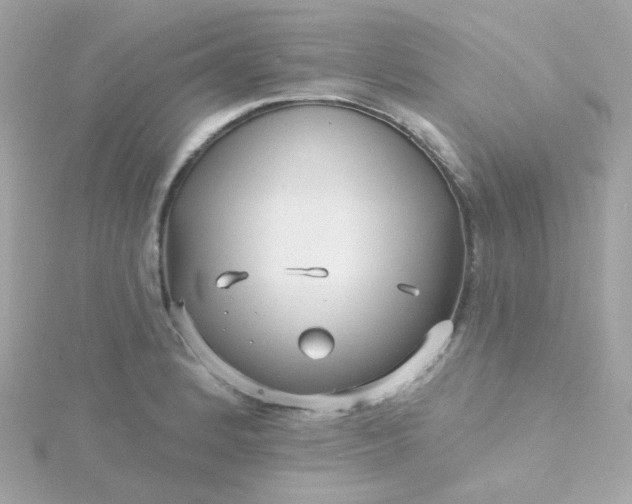 X0000115691184200911251807