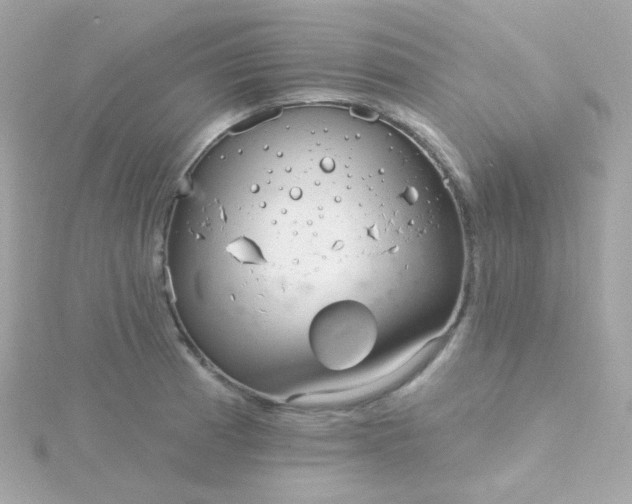 X0000115691185200911251807