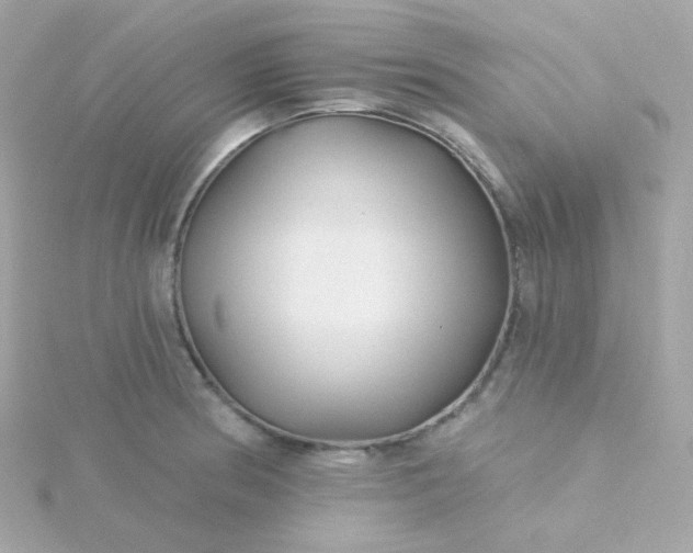 X0000115691186200911251807