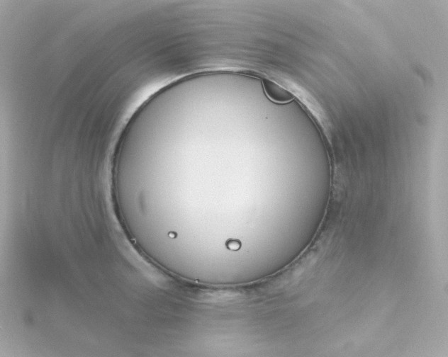 X0000115691187200911251807