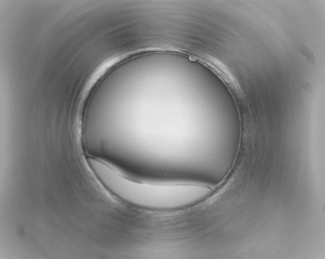 X0000115691188200911251807