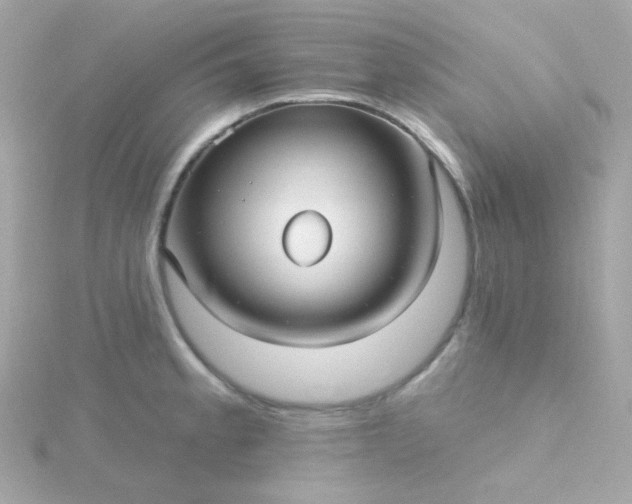 X0000115691189200911251807