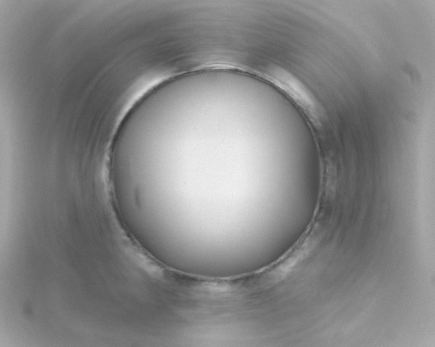 X0000115691190200911251807