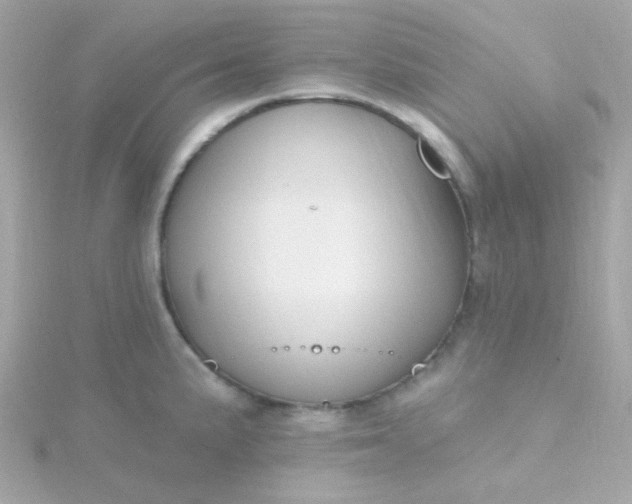 X0000115691191200911251806